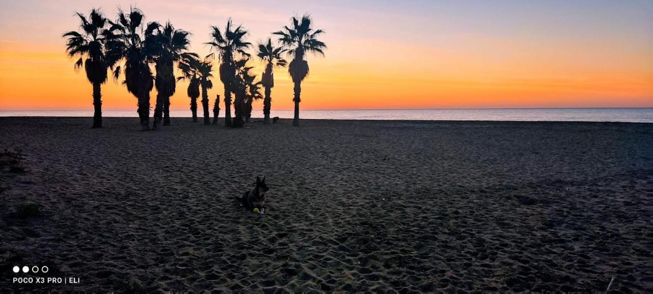 Apartamento Encantador Apto En La Playa *